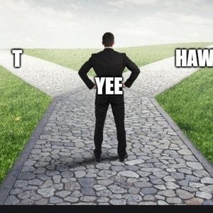 Meet your Posher, Weston